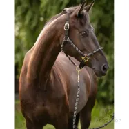 Apauši Limone Sportive Lauria Garrelli