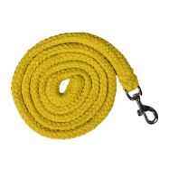 Pastaigu pavada GlowLine HKM