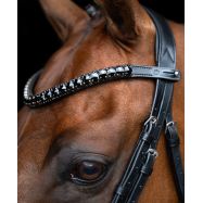 Pieres siksna Maxima Imperial Riding
