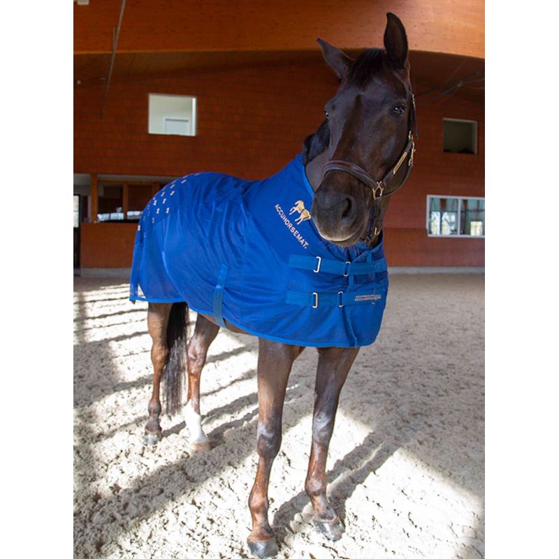 Terapeitiska zirgu sega Accuhorsemat Cooler