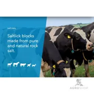 Laizāmais sāls akmens SOLSEL Natural 10kg 68gab uz paletes