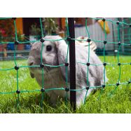 Elektriskā gana tīkls RabbitNet