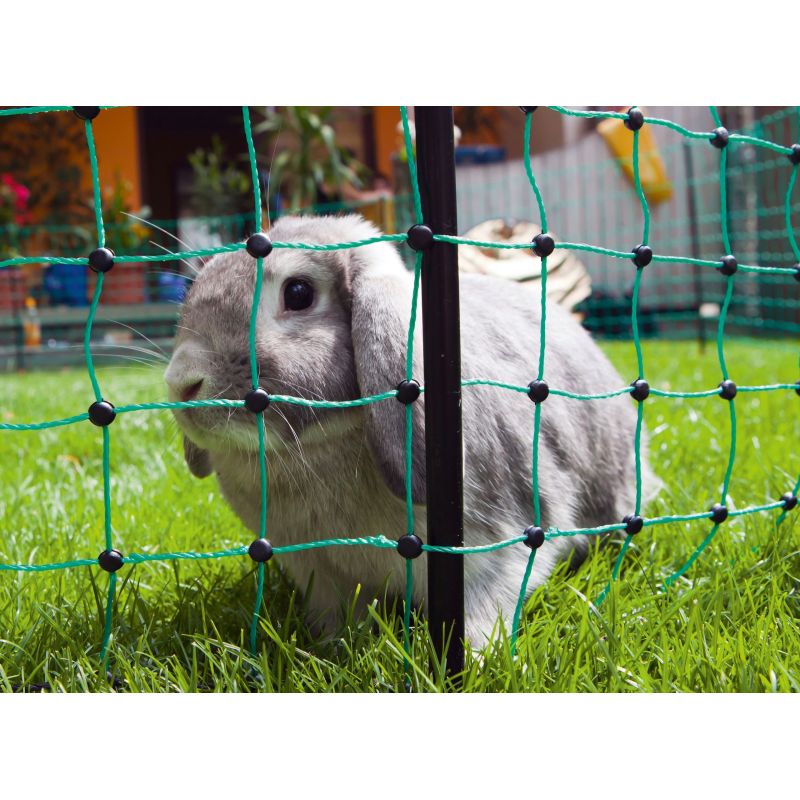 Elektriskā gana tīkls RabbitNet