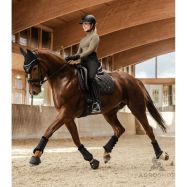 Sviedrene DR Phoenix Waldhausen