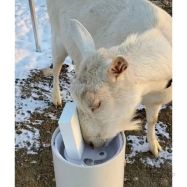 Spiediena mēlītes adapteris Lister Drinking Post dzirdināšanas stabam