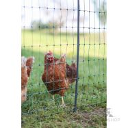 Žoga tīkls PoultryNet Premium vistām 1,22x50m ar atbalstu