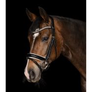 Iemaukti Evermore Pullback Waldhausen X-Line