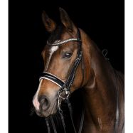 Dubultie iemaukti Evermore Pullback Waldhausen X-Line