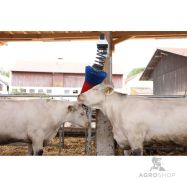 Govju suka HAPPYCOW FlexiSwing