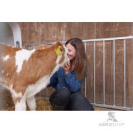 Teļu māja CalfHouse Premium DUO ar žogu