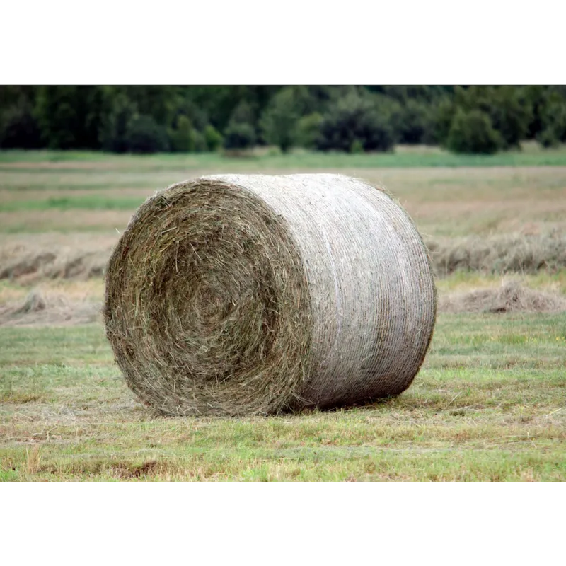 Siena ruļļu tīkls QuattroNetz 1,23x3000m