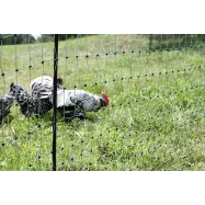 Elektriskā žogs putniem Poultry Net 1,06x15m