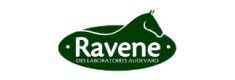 Ravene